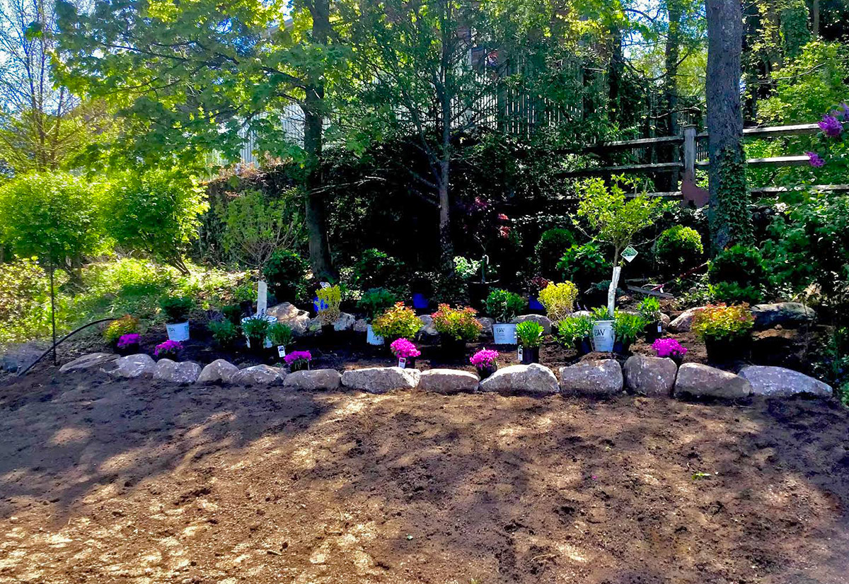 Plantings and Maintenance